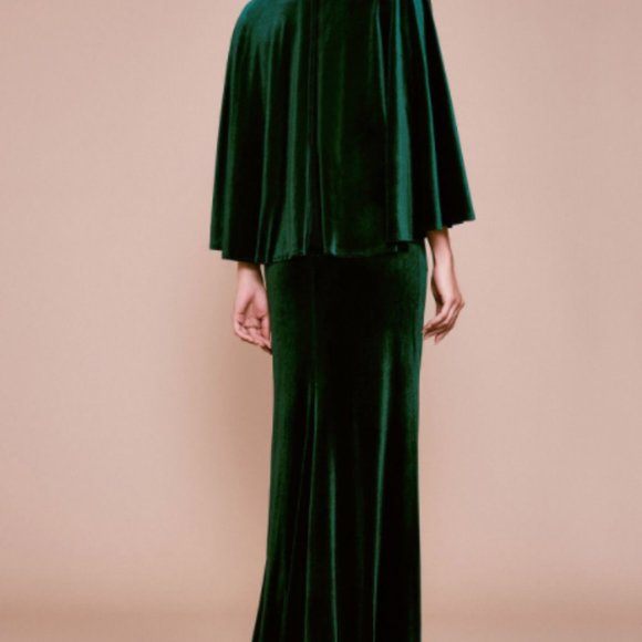 tadashi shoji velvet dress